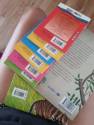 Lote variado de libros infantil en español.