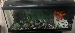 Pecera 125L con accesorios