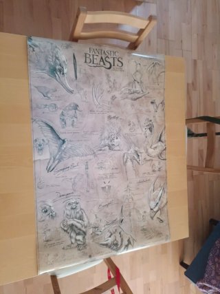 Póster Animales Fantásticos Harry Potter