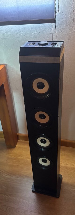 Torre de Sonido Negra y Dorada