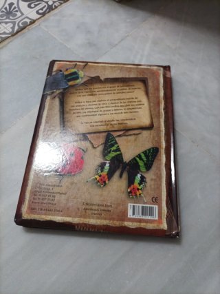 Insectos
