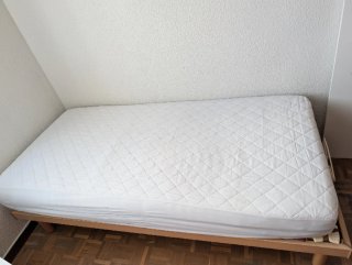 Cama articulada eléctrica con colchón