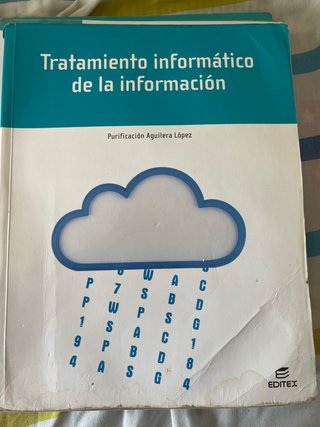 Tratamiento informático de la información