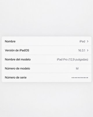 iPad Pro 12.9 + Teclado Logitech + 2 Fundas