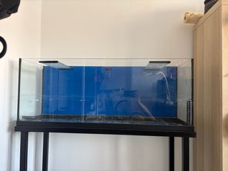 Pecera/Terrario con Soporte
