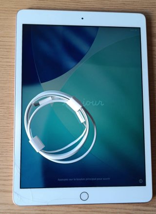 iPad A2270 8ª Gen 32GB rosa + cable original