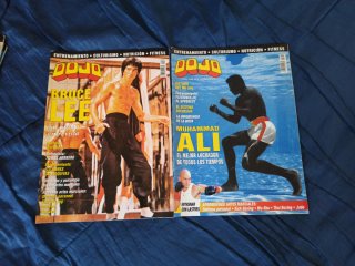 Lote de 12 revistas DOJO (N°273-290)
