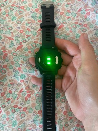 Garmin Forerunner 55 GPS Running Watch