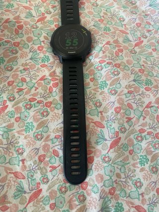Garmin Forerunner 55 GPS Running Watch
