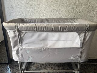 Minicuna Asalvo