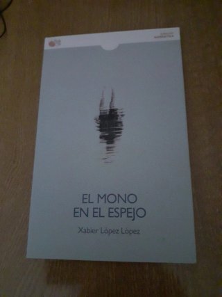 El mono en el espejo