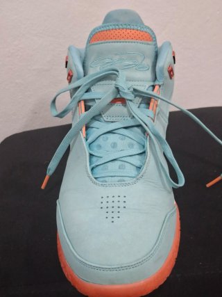 Zapatillas Nike Zoom LeBrain NXXT Gen 46