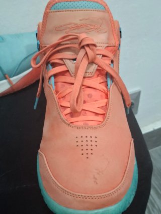 Zapatillas Nike Zoom LeBrain NXXT Gen 46