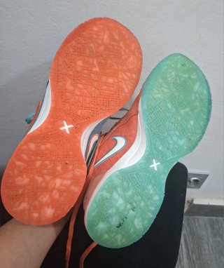 Zapatillas Nike Zoom LeBrain NXXT Gen 46