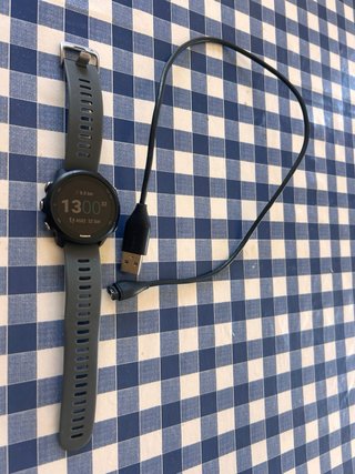 Garmin Forerunner 245 Negro/Gris