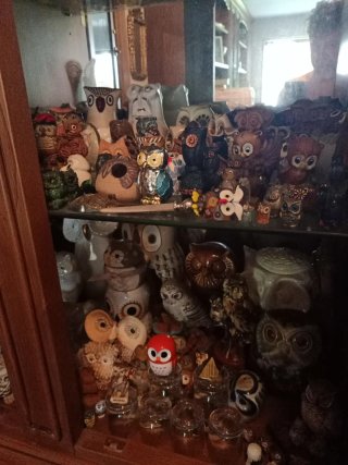 Collezione gufi in ceramica e cristallo
