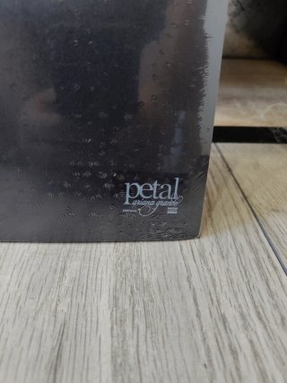 Petal Tour Zine CD Ariana Grande