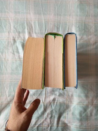 Lote libros de Sarah Lark