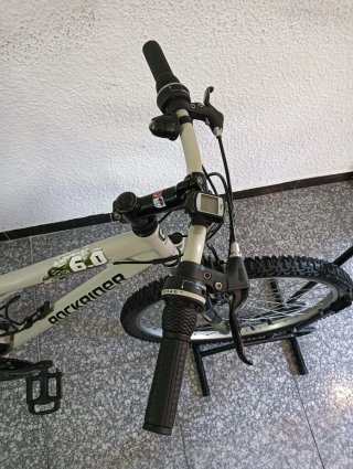 Bicicleta de Montaña