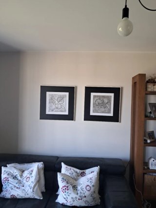 Juego de 2 cuadros decorativos