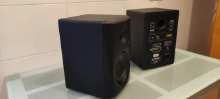 Monitores de estudio Monkey Banana Gibbon 5