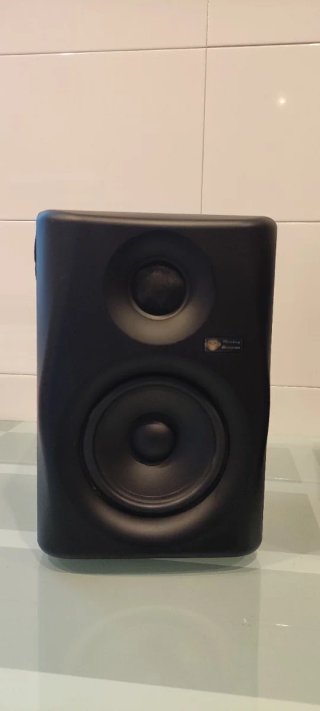 Monitores de estudio Monkey Banana Gibbon 5