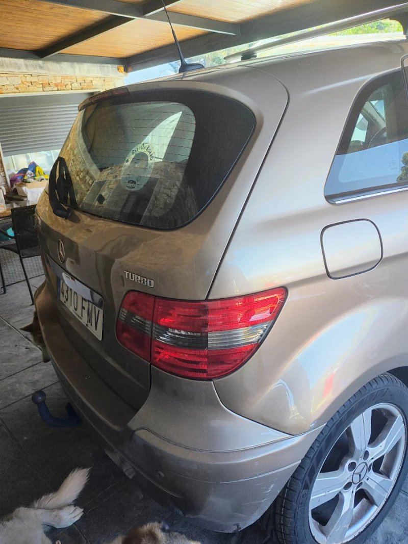 Mercedes-Benz Clase B B 200 Turbo (2005) 2007, foto 2