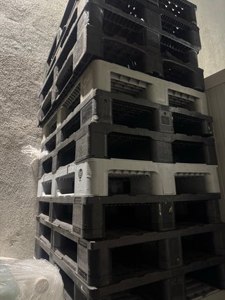 Palets de plástico en perfecto estado
