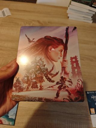 Horizon Forbidden West Edición Especial PS5