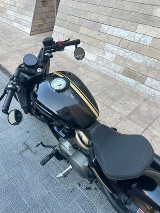 Benda Napoleon Bob 500 Negra y Dorada