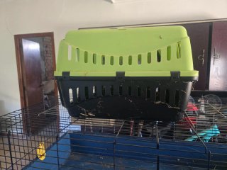Jaula para conejos y otros animales