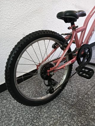 Bicicleta