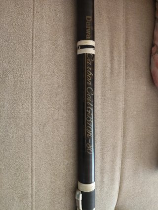 Caña Daiwa Carbono Coil GB10
