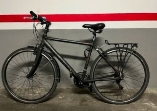 Bicicleta híbrida Focus Arriba