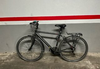 Bicicleta híbrida Focus Arriba