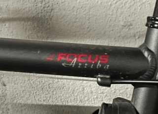 Bicicleta híbrida Focus Arriba
