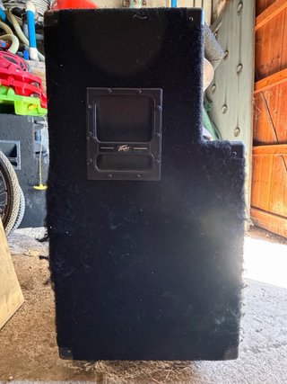 Altavoces Peavey SP-3TI