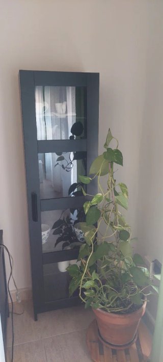 Vitrina expositora negra con puertas de cristal