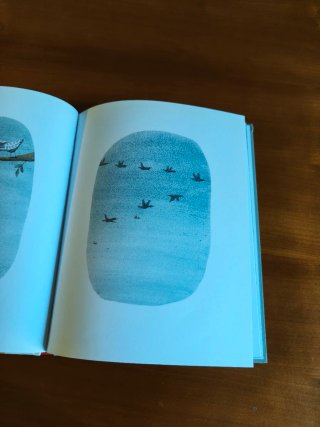 Libro El lleó i l'ocell