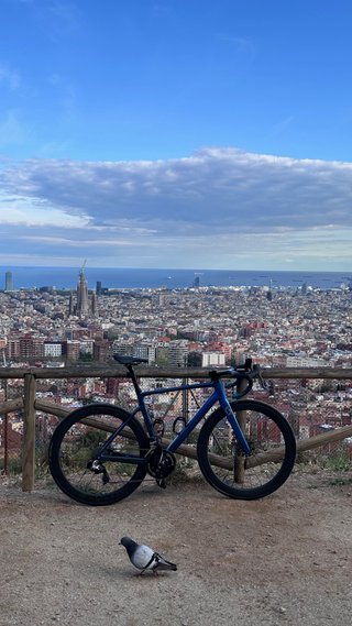 Scott Addict RC 30 2020 Talla 54