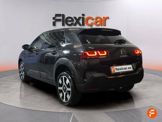Citroën C4 Cactus PureTech 110 S&S Feel