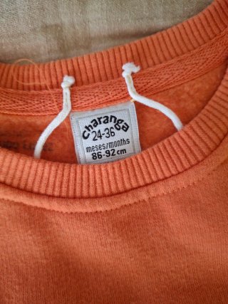 Sudadera Halloween Calabaza Infantil Charanga