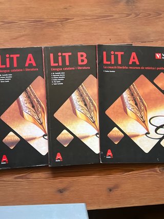 LIT A Llengua catalana i literatura : batxillerat
