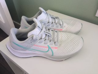 Nike Air Zoom Pegasus 38 Talla 40.5