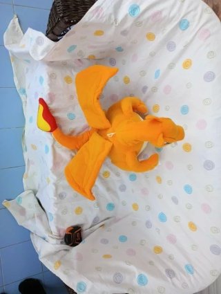 Pokémon peluche gigante / grande pokémon charizard