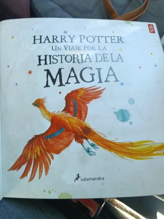 Harry Potter: Un viaje por la historia de la ma...