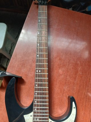 Guitarra Eléctrica SAFARI