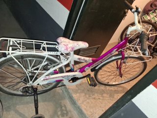 Bicicleta Niña Morada Kelly