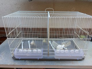 Lote 3 Jaulas 70cm