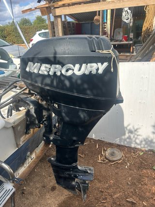 Motor fueraborda 15 CV 4 tiempos